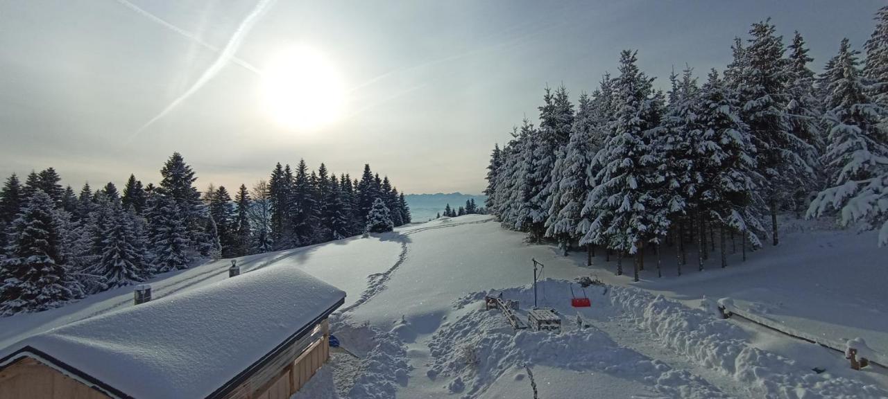 Gosciniec Dziubasowki Villa Nowy Targ Exterior photo